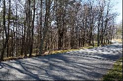 Lot 207 Audubon Trail, Cashiers, NC 28741