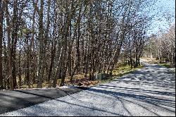 Lot 207 Audubon Trail, Cashiers, NC 28741