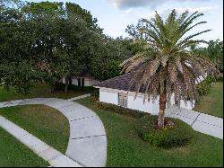 430 Hickorynut Avenue, Oldsmar FL 34677