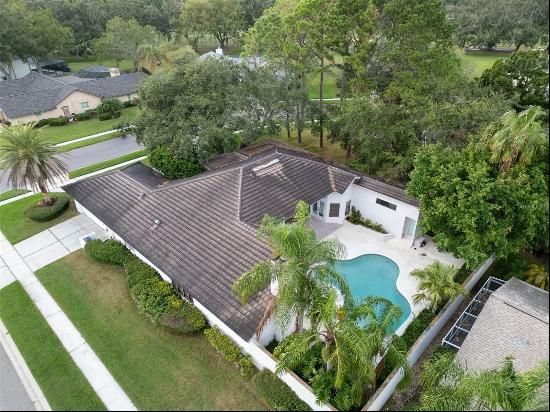 430 Hickorynut Avenue, Oldsmar FL 34677