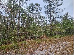 Lot 54 3rd Road, Boiling Spring Lakes NC 28461