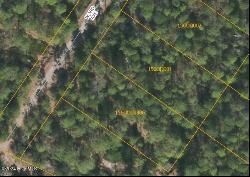 Lot 54 3rd Road, Boiling Spring Lakes NC 28461