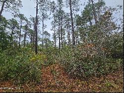 Lot 54 3rd Road, Boiling Spring Lakes NC 28461