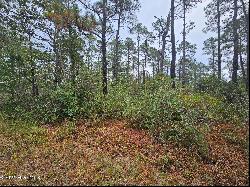 Lot 54 3rd Road, Boiling Spring Lakes NC 28461