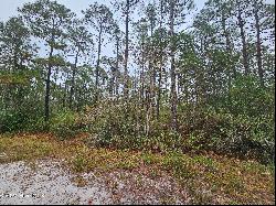 Lot 54 3rd Road, Boiling Spring Lakes NC 28461