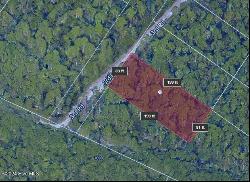 Lot 54 3rd Road, Boiling Spring Lakes NC 28461