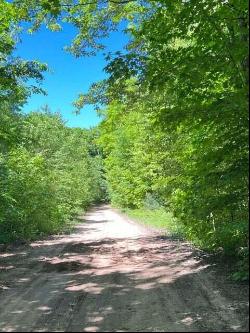 Carter Pavey Road 10 Acres, Gaylord MI 49735