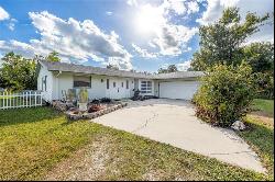 195 Abbey Ln, North Fort Myers FL 33917