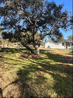 Lot 19, 1216 Cr 132A, Kingsland TX 78639