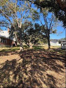 Lot 19, 1216 Cr 132A, Kingsland TX 78639