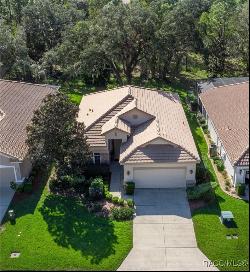 1075 W Diamond Shore Loop, Hernando FL 34442