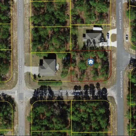 7722 N Galena Avenue, Citrus Springs FL 34434