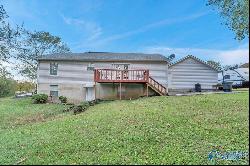 1319 Jacobs Avenue, Bridgeport AL 35740