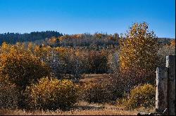 Teton Jewel