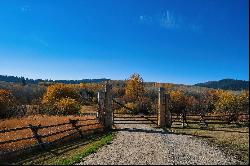 Teton Jewel