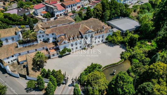 Borralha Palace for sale in gueda, Aveiro, Portugal