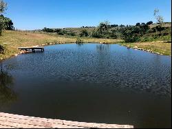 Amazing farm in Pueblo Eden.