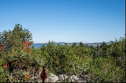 A 36-hectare estate in Laguna del Sauce, Punta del Este