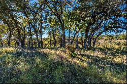 7.3+ Acres Along Onion Creek in Dripping Springs, TX