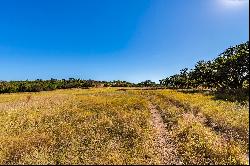 10+ Acres Along Onion Creek in Dripping Springs, TX