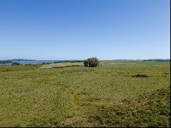 Farm in Laguna del Sauce.