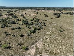 216+/-Acres Yoakum Cattle Ranch, Dewitt County, Yoakum, TX 77995