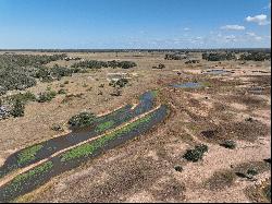 216+/-Acres Yoakum Cattle Ranch, Dewitt County, Yoakum, TX 77995