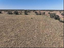 216+/-Acres Yoakum Cattle Ranch, Dewitt County, Yoakum, TX 77995