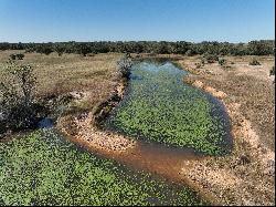 216+/-Acres Yoakum Cattle Ranch, Dewitt County, Yoakum, TX 77995