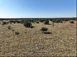 216+/-Acres Yoakum Cattle Ranch, Dewitt County, Yoakum, TX 77995