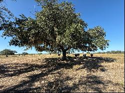 216+/-Acres Yoakum Cattle Ranch, Dewitt County, Yoakum, TX 77995