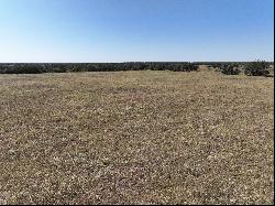 216+/-Acres Yoakum Cattle Ranch, Dewitt County, Yoakum, TX 77995