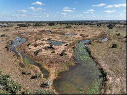 216+/-Acres Yoakum Cattle Ranch, Dewitt County, Yoakum, TX 77995