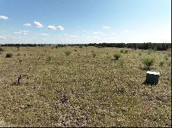 216+/-Acres Yoakum Cattle Ranch, Dewitt County, Yoakum, TX 77995