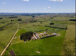 Farm with olive grove in Garzon.