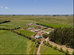 Farm with olive grove in Garzon.