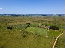 Farm with olive grove in Garzon.