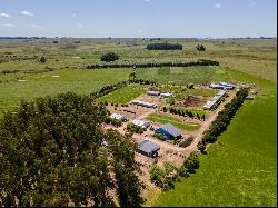 Farm with olive grove in Garzon.