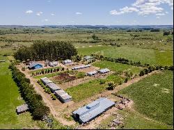 Farm with olive grove in Garzon.