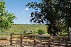 Farm with olive grove in Garzon.