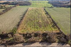 44 Acres of Agricultural Land