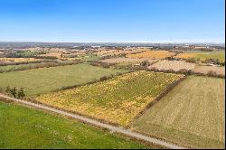 44 Acres of Agricultural Land