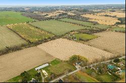 44 Acres of Agricultural Land