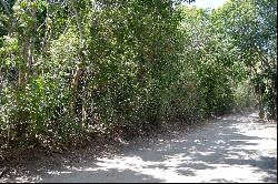 Belmont Beach Walk Land