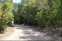 Belmont Beach Walk Land