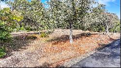 Boulder Road, Granite Bay, CA 95746