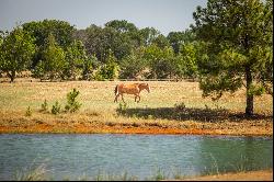 Pine Mountain Ranch 180+/- AC