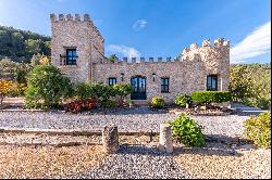 Alicante Luxury Castle-Palace