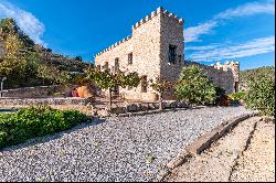 Alicante Luxury Castle-Palace