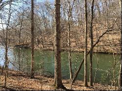 Lot 1 South Pointe Shore Dr, Moneta VA 24121